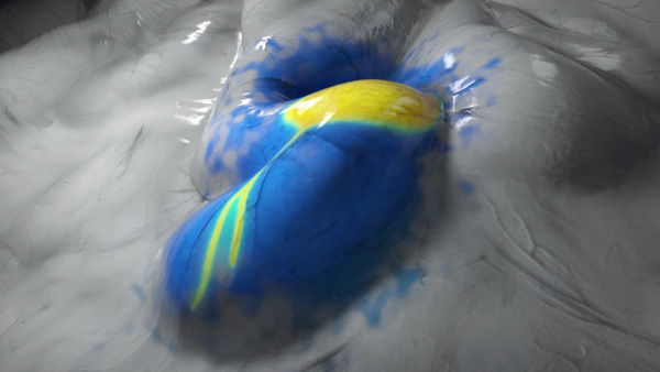 Imagem de fluorescência 3D em tempo real