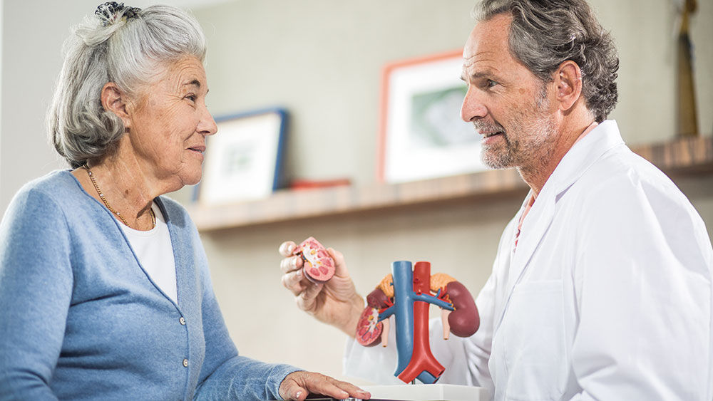 Um médico está conversando com uma senhora idosa que o ouve atentamente e parece interessada. Ele está mostrando a ela um modelo de rim.