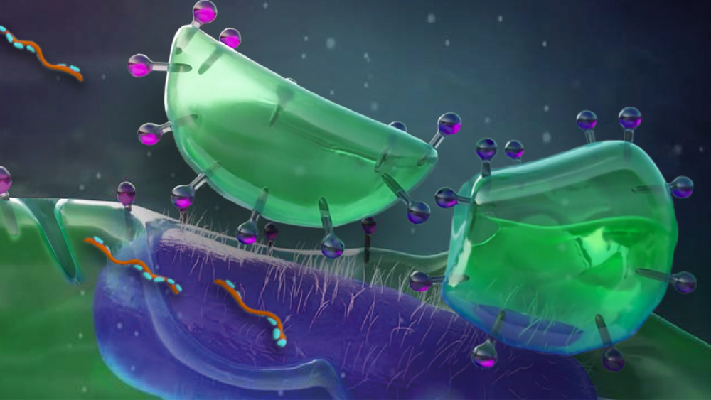 Ilustração científica colorida mostrando células de biofilme​