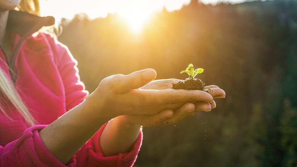 Uma mulher segurando um pedaço de terra com uma pequena planta sob um raio de sol com as duas mãos, aparecendo atrás das árvores.